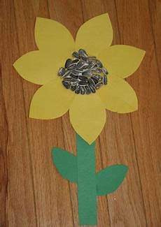 Sunflower Seeds Roasting Machine