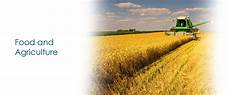 Supplier Of Grain Drying Boilers