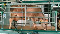 Tandem Milking Parlor