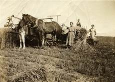 Threshing Machines