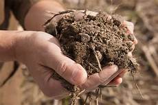 Unfertilized Line Precision Air Planters2