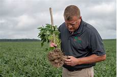 Unfertilized Line Precision Air Planters2