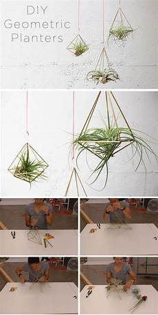 Unfertilized Precision Air Planters