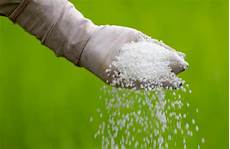 Urea Fertilizer