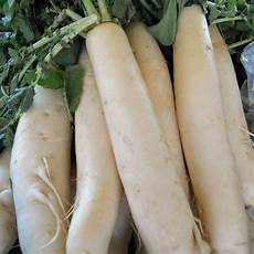 Vegetable Seed Drills