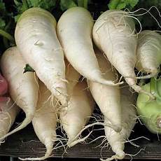 Vegetable Seed Drills