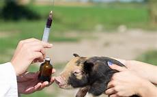 Veterinary Drugs