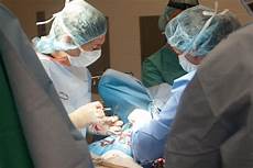 Veterinary Medicine