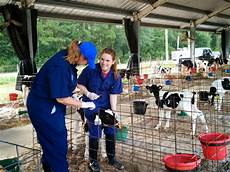 Veterinary Vaccinations