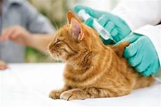 Veterinary Vaccinations