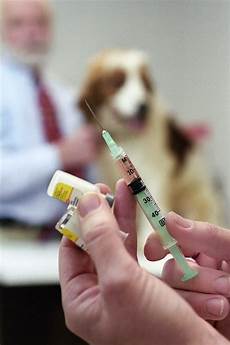 Veterinary Vaccine