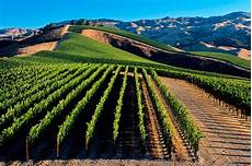 Vineyard Ploughes