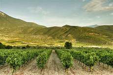 Vineyard Ploughes