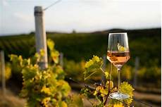 Vineyard Ploughes