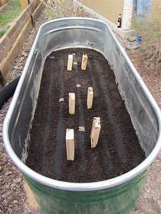 Watering Trough