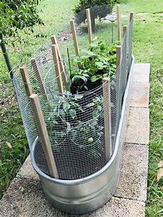 Watering Trough