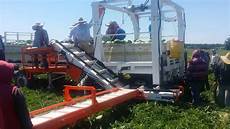 Watermelon Harvester