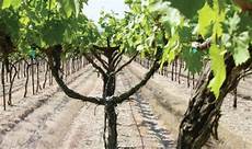 Way System Vineyard Plough