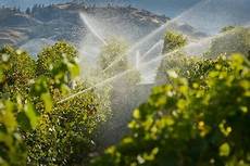 Way System Vineyard Ploughs