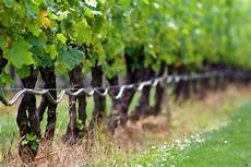 Way System Vineyard Ploughs