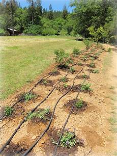 Way System Vineyard Ploughs