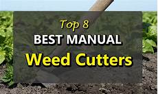 Weed Cutter For The Plants Of Vineyard